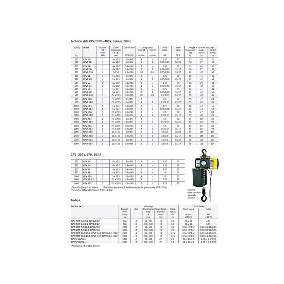 YALE ELECTRIC CHAIN HOIST 6M 0.25T 3 PHASE DUAL SPEED YEH025
