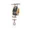 Pacific Compact Wire Rope Hoist 300Kg ACWS300