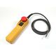 LIFFU ELECTRIC HOIST PENDANT WITH ROCKER SWITCH BDA TYPE