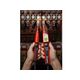 BENNING VOLTAGE AND CONTINUITY TESTER DUSPOL DIGITAL V2, 2 BENNING VOLTAGE AND CONTINUITY TESTER DUSPOL DIGITAL V2